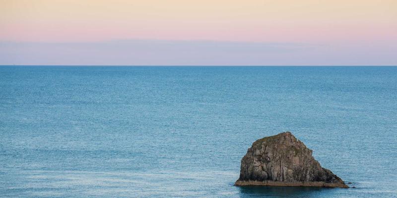 不止是工装:宠物行业工作服定制的三大核心设计,如何提升专业度与客户信任?