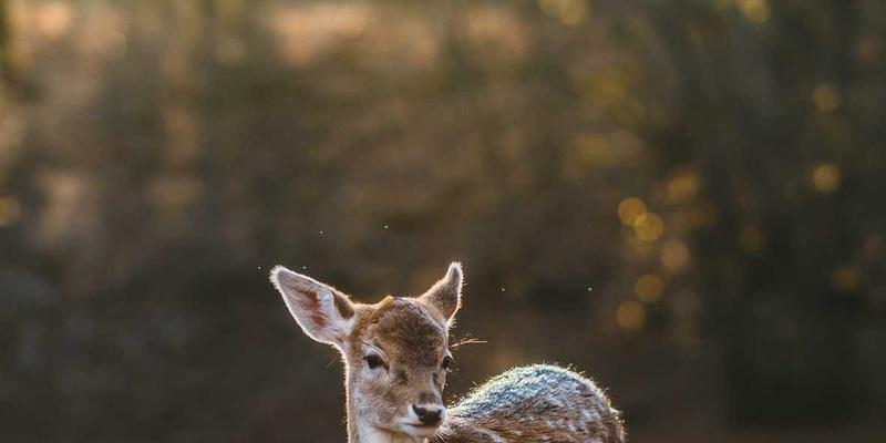 从团体服装定制到职业装革新：可持续时尚下的环保面料与零浪费剪裁实践