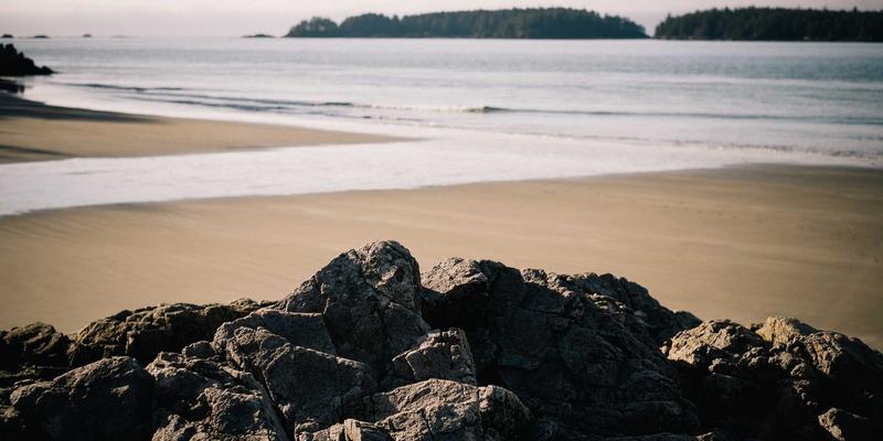 从婚纱到工装:深度解析高级定制与租赁模式,如何为不同场景做明智选择