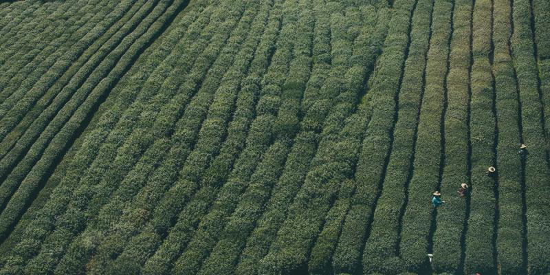 从工装到战甲：高性能面料如何重塑户外职业装定制，实现防护、灵活与舒适的黄金三角