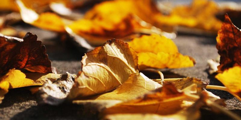 舞台上的第二层皮肤：演艺团体服装定制如何兼顾视觉震撼与行动自由